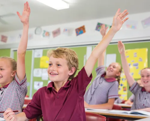 School students raising hands