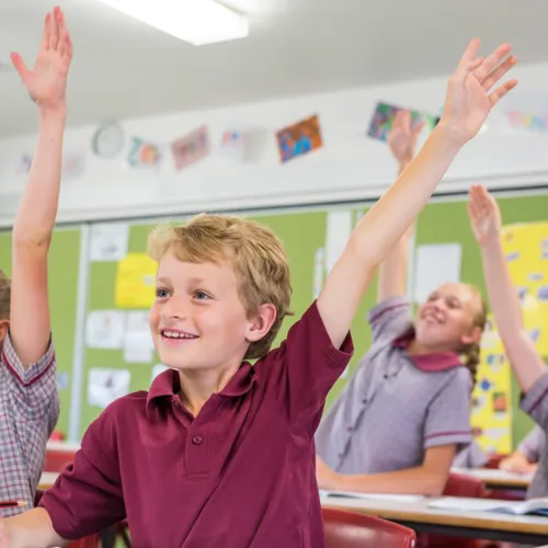 School students raising hands